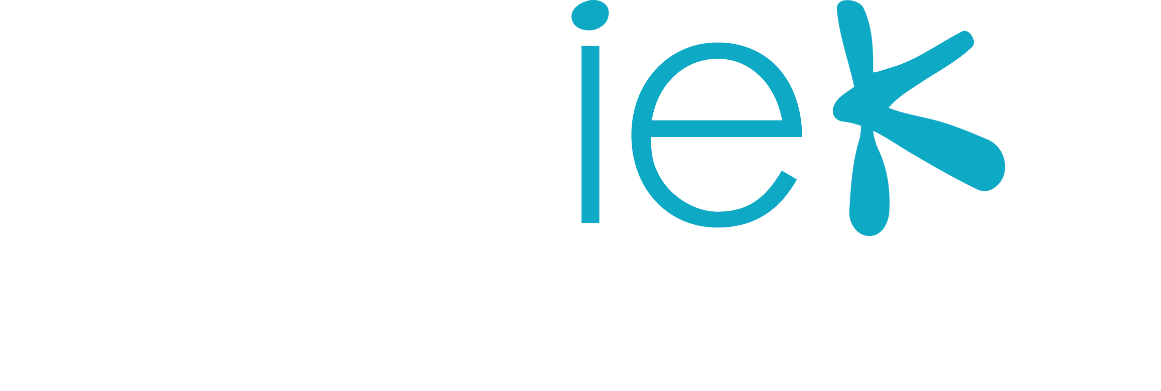 iek logo